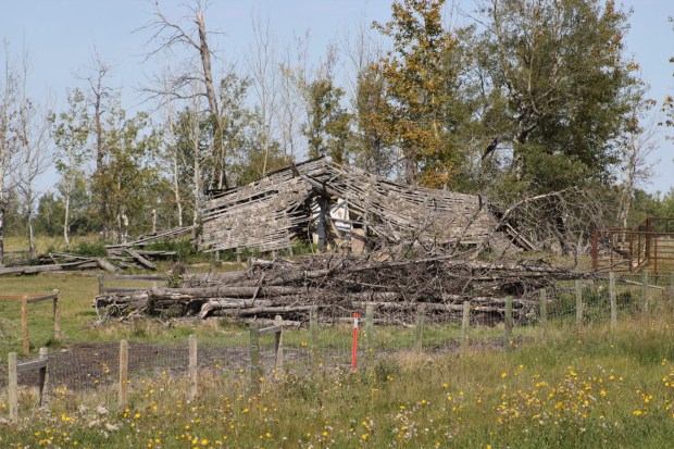 blown down barn