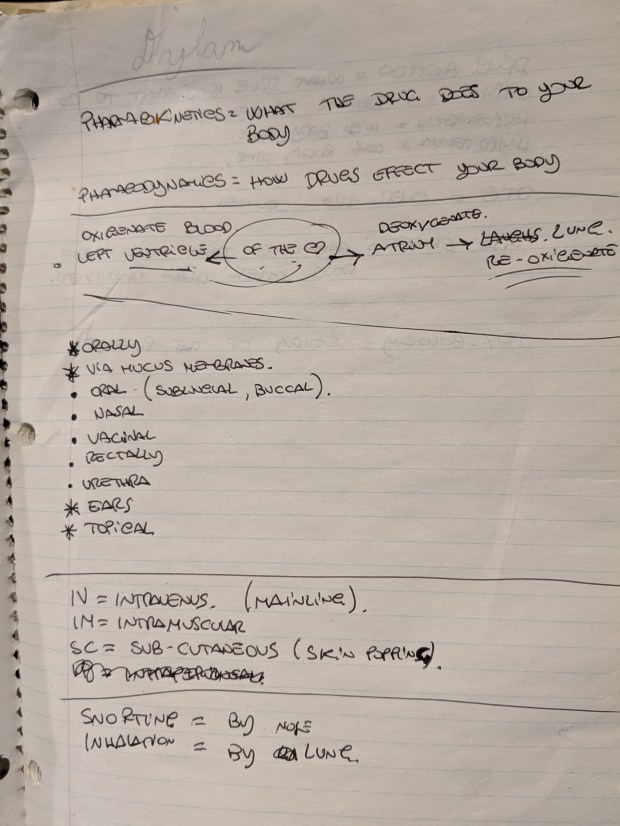 00000img_00000_burst20190709220910838_cover