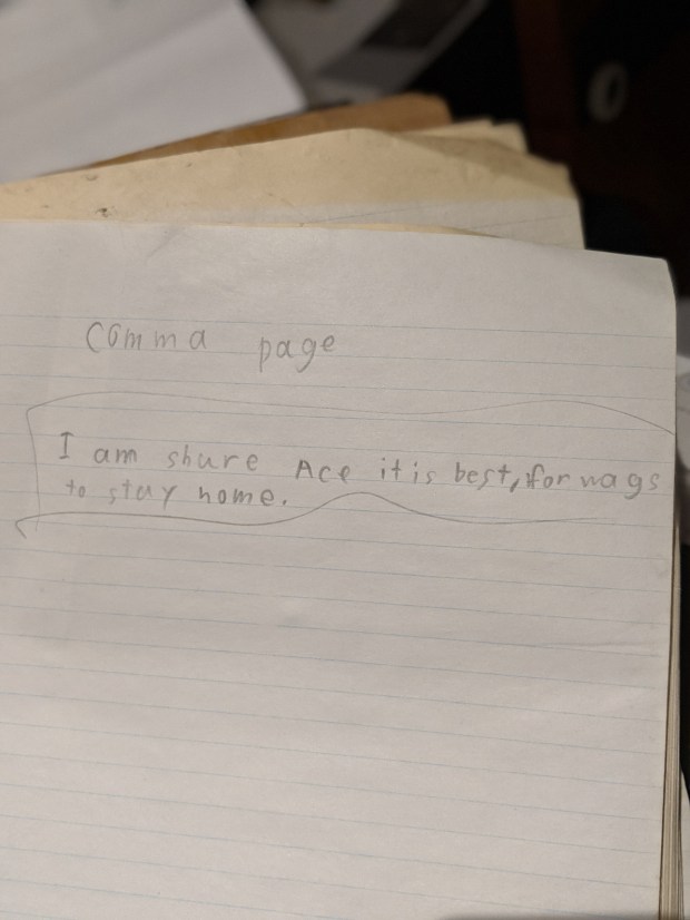 00100dportrait_00100_burst20190709220956740_cover