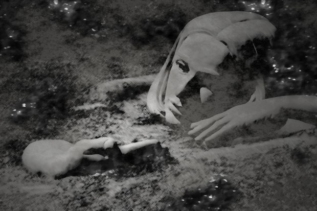 A Dream of Life by Karen Kleis, flickr